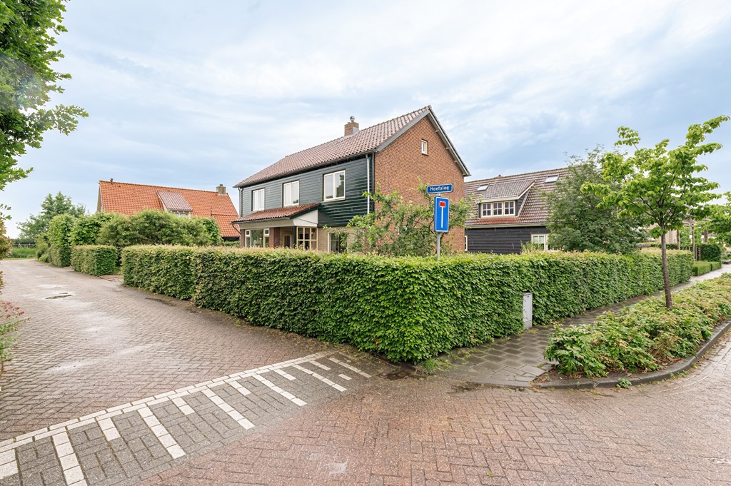 Hoefslag 2 Almkerk (6).jpg